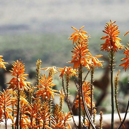 Cortijo El Paraiso Los Escullos Eksteriør billede